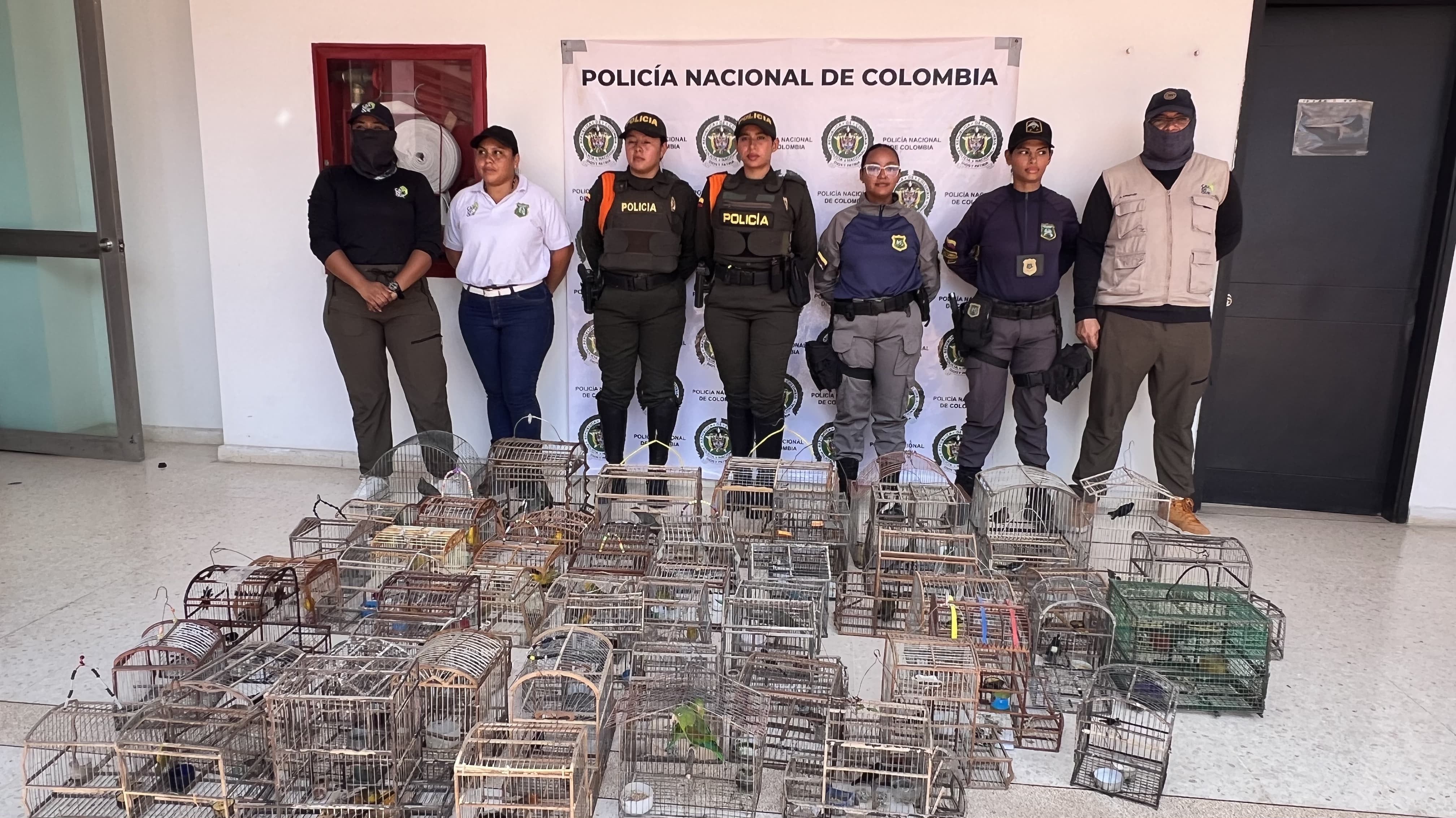 Aves rescatadas. // Guardia Ambiental