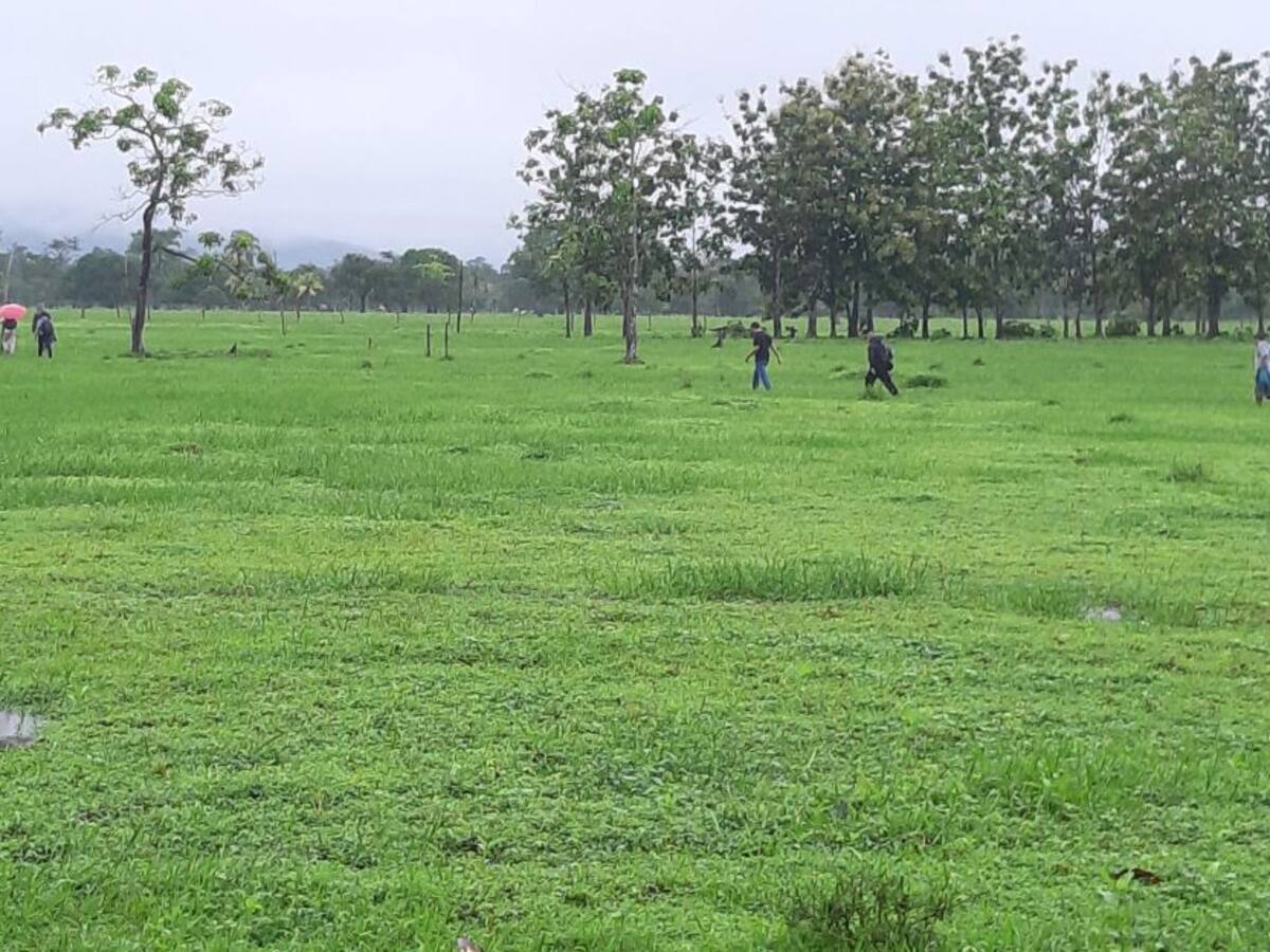 Exmagistrado Pretel tendrá que devolver la finca "La Corona" en Urabá