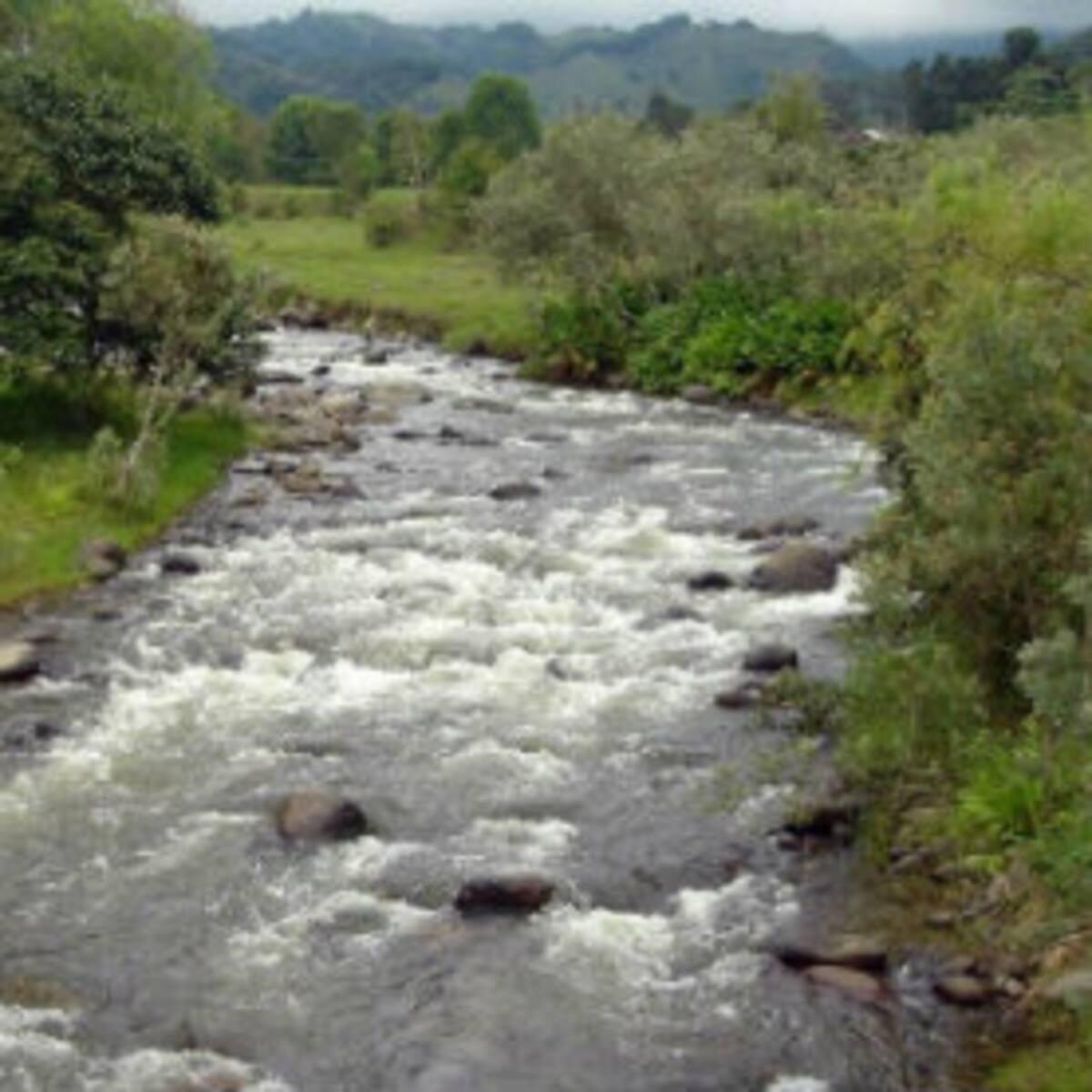 Desde la autoridad ambiental en el Quindío alertan por la pérdida del agua en el proceso de aducción
