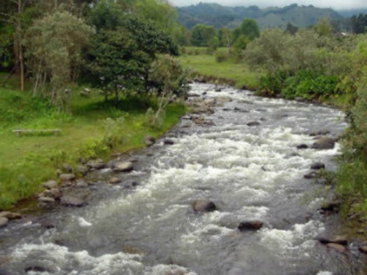 Desde la autoridad ambiental en el Quindío alertan por la pérdida del agua en el proceso de aducción