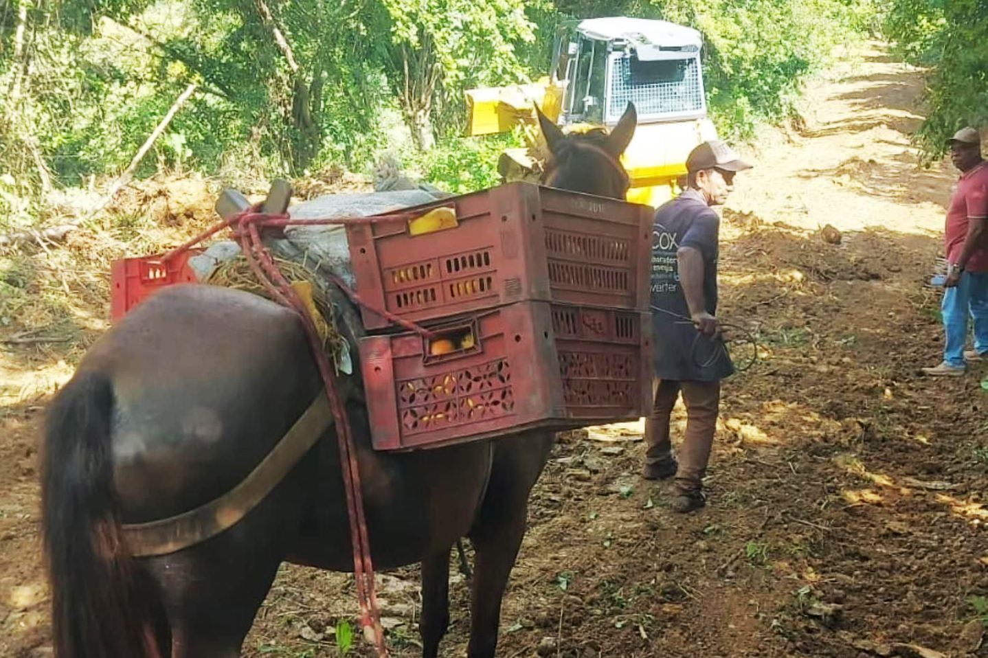 Alcaldía de Santa Catalina refacciona vías de acceso para sus campesinos