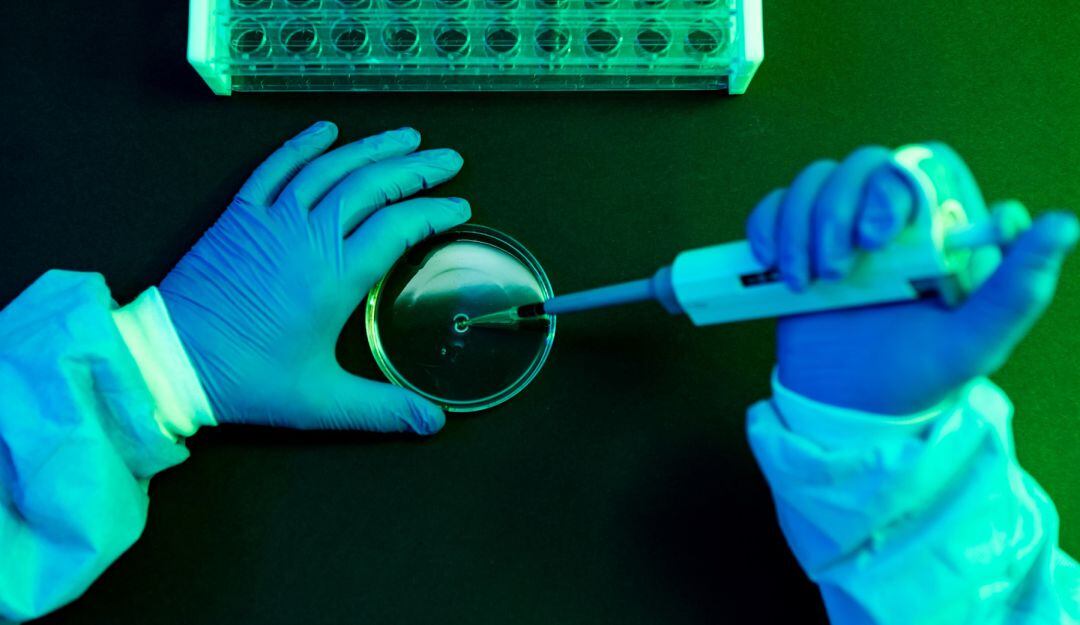 ¡Grandioso! Descubren un anticuerpo que ataca las células madre del cáncer