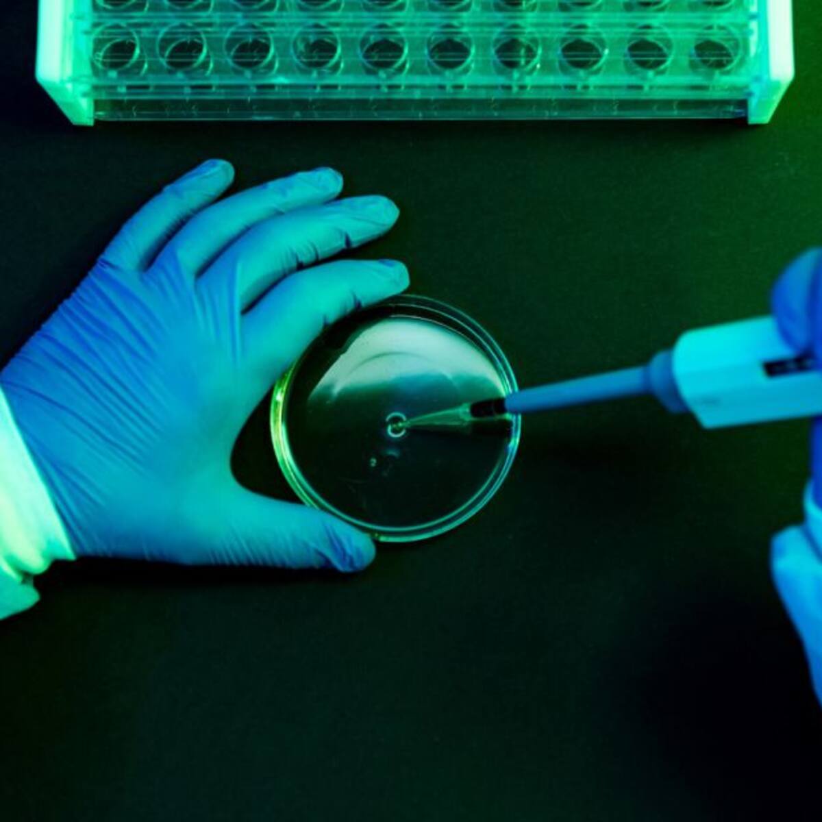 ¡Grandioso! Descubren un anticuerpo que ataca las células madre del cáncer