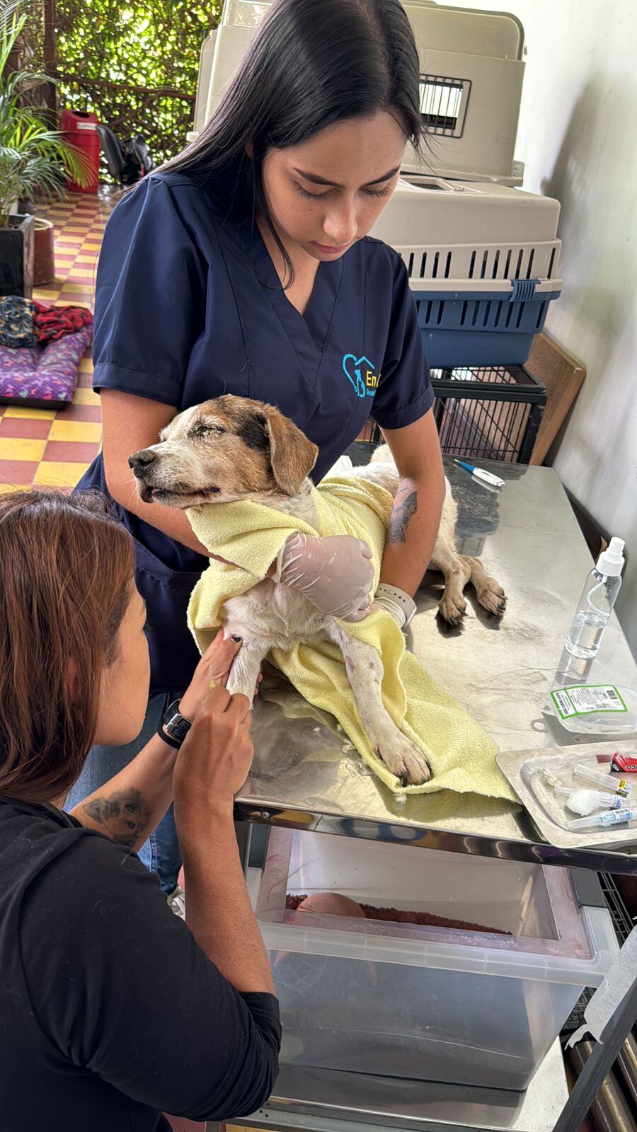 Foto: Alcaldía de Itagüí.