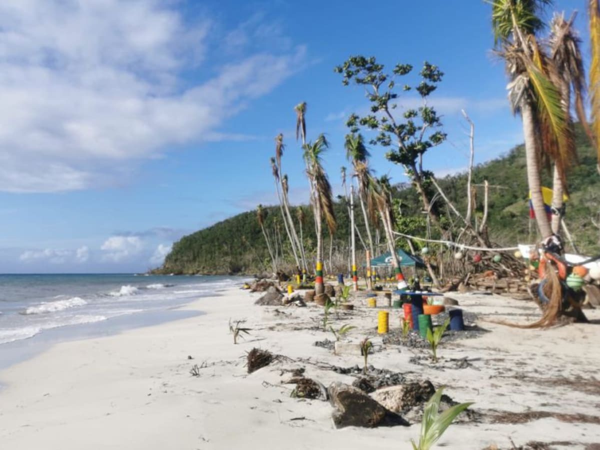 "Ha sido un reto logístico grande para avanzar con el cronograma": Findeter