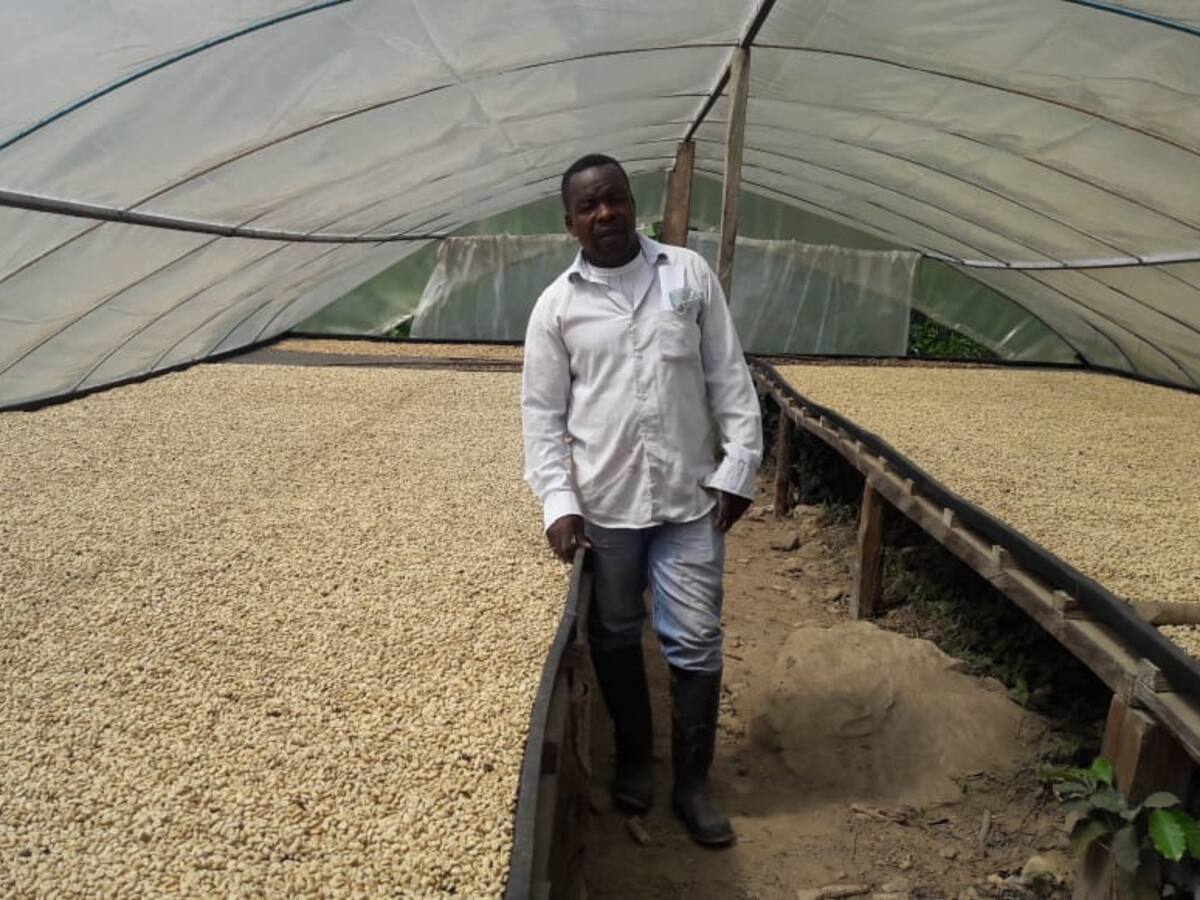 De Norte de Santander, el mejor cafetero de Colombia