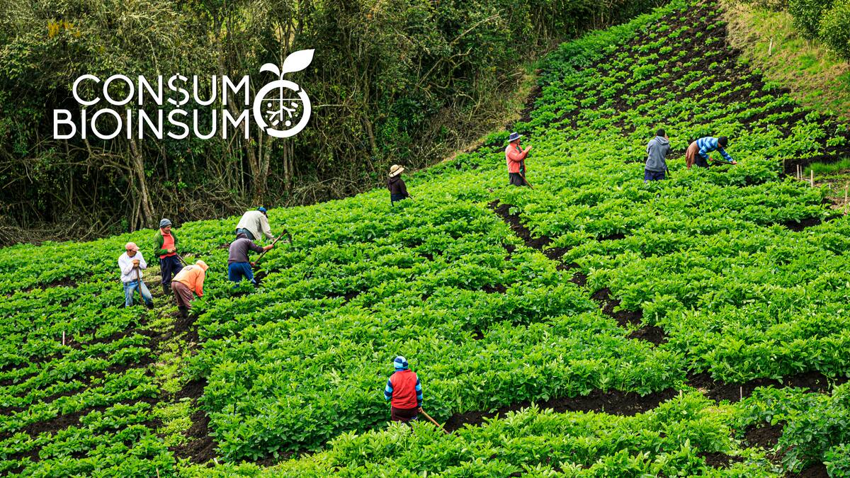 Consumo Bioinsumo, campaña para usar en el agro insumos más amigables con el ambiente