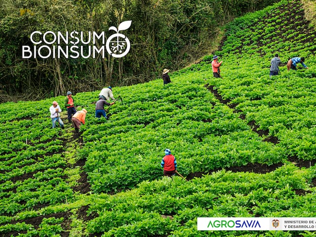 Consumo Bioinsumo, campaña para usar en el agro insumos más amigables con el ambiente