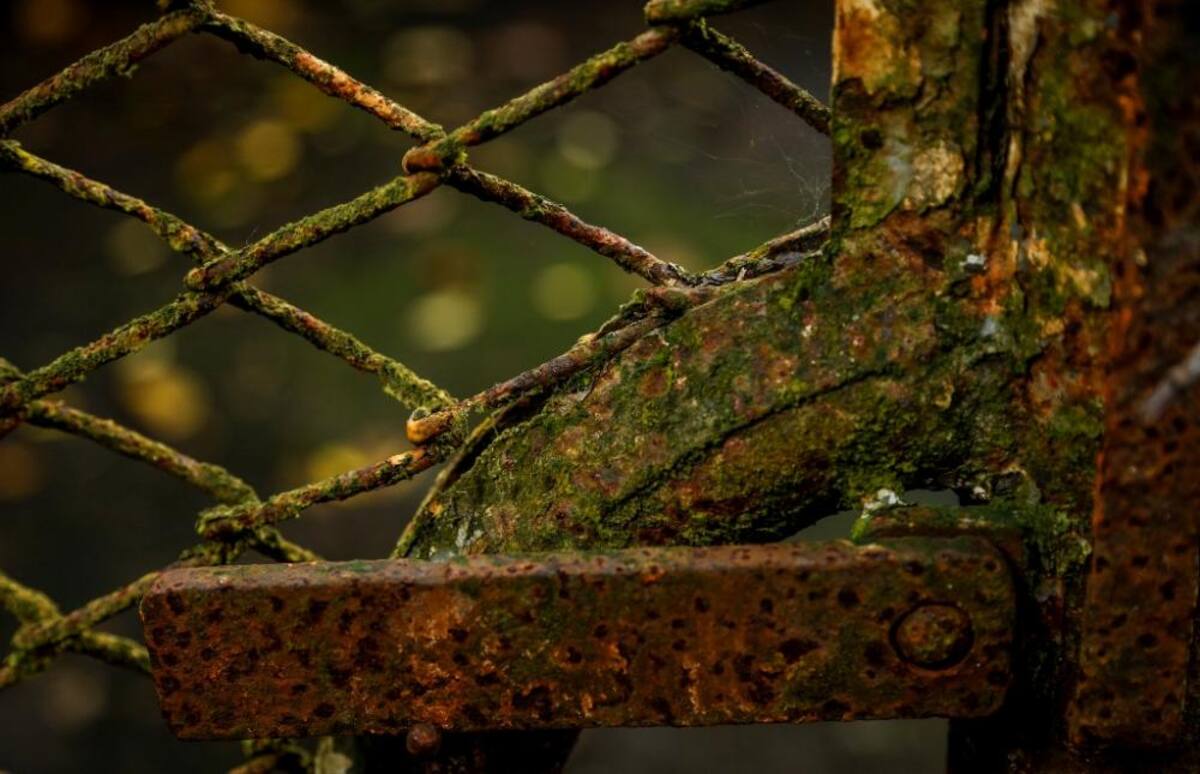 La naturaleza reclama su territorio y se instala en las ruinas de lo que alguna vez fue un temido lugar de reclusión en el Pacífico colombiano.