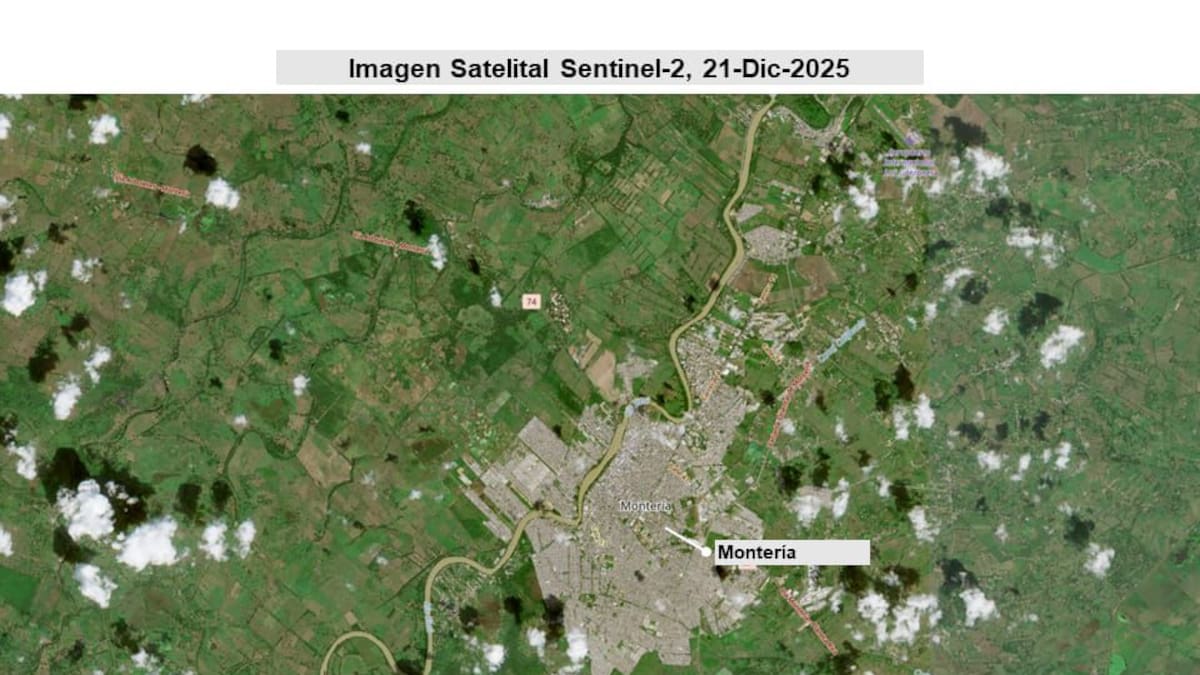 Más de 100.000 hectáreas fueron afectadas por las inundaciones en Córdoba