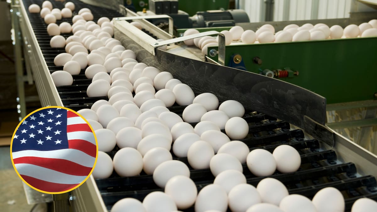 El precio del huevo bate récord en EE.UU. con un incremento del 15% en un mes