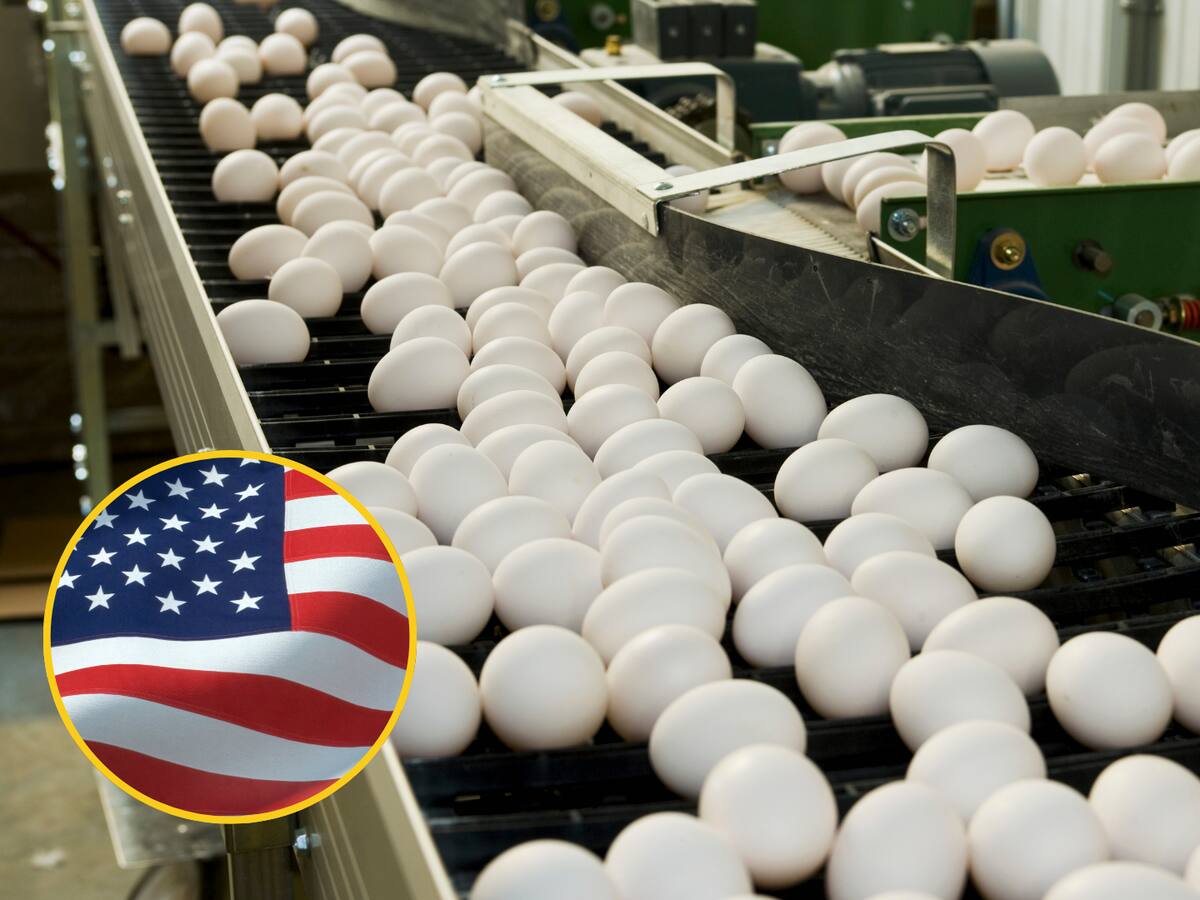 El precio del huevo bate récord en EE.UU. con un incremento del 15% en un mes