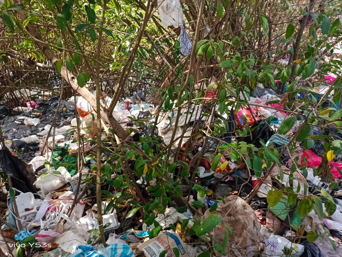 Realizarán segunda jornada de saneamiento ambiental en Avenida del Lago