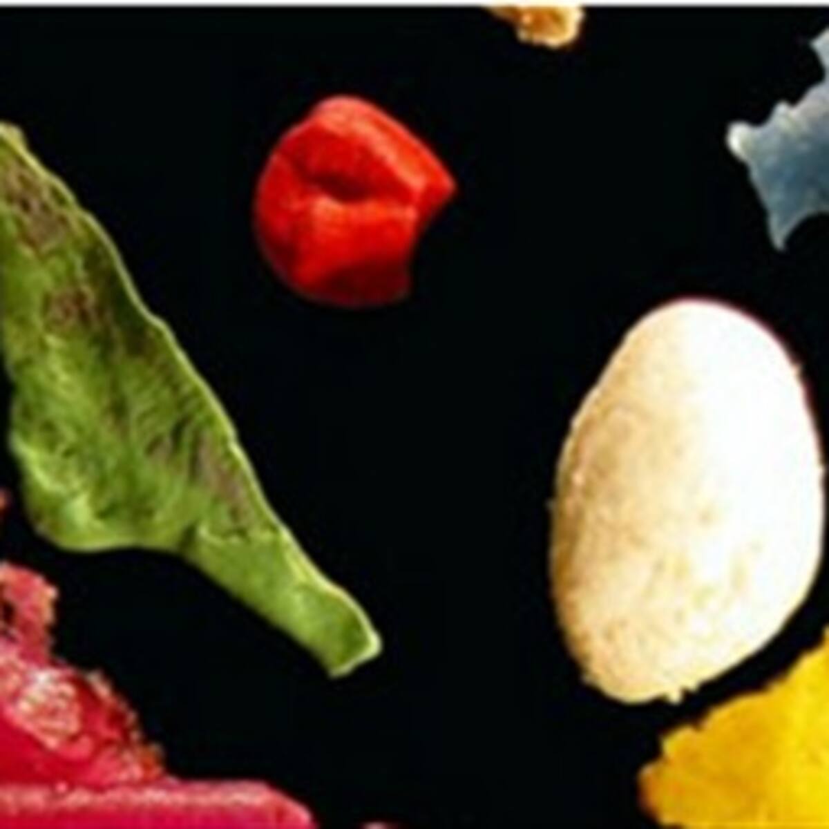 Una "amenaza tóxica" para la vida marina son los microplásticos