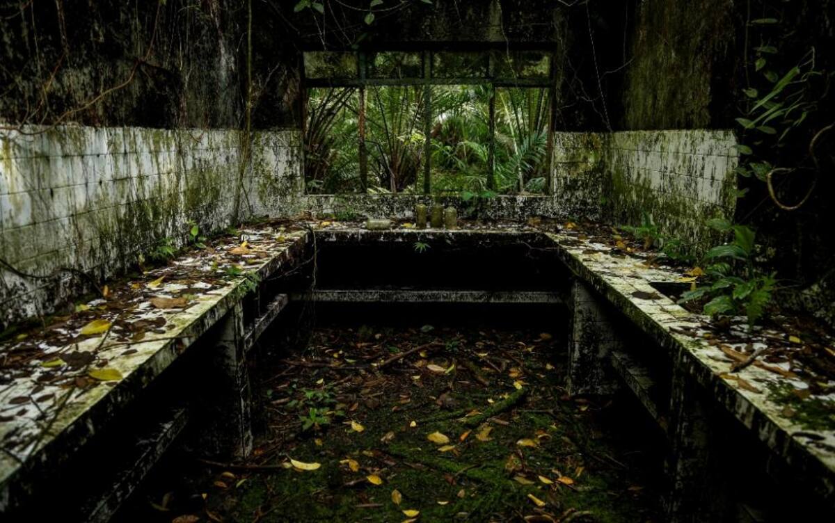 La naturaleza reclama su territorio y se instala en las ruinas de lo que alguna vez fue un temido lugar de reclusión en el Pacífico colombiano.
