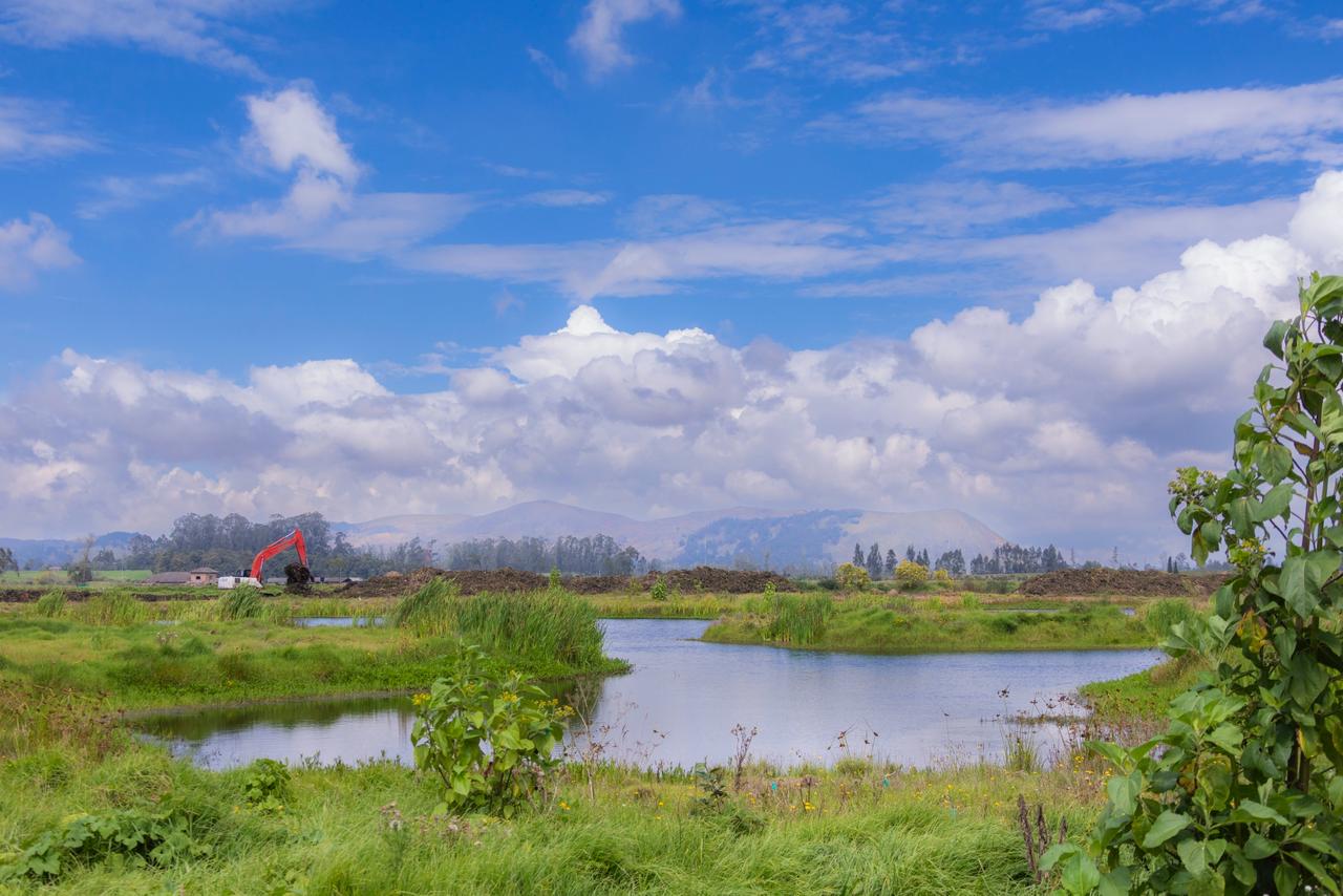 Avanza la restauración ecológica del río Bogotá: 116 hectáreas fueron restauradas. Foto: CAR.
