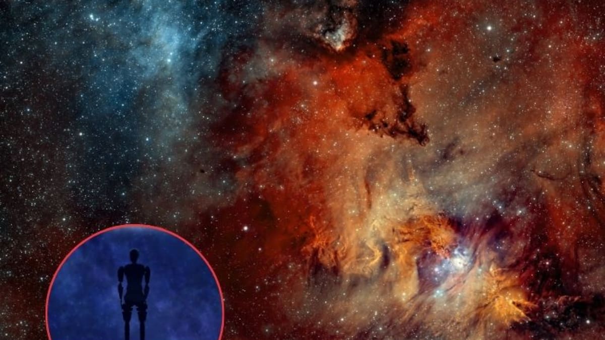Extraterrestres podrían existir, solo que se esconden: esta es la teoría del bosque oscuro