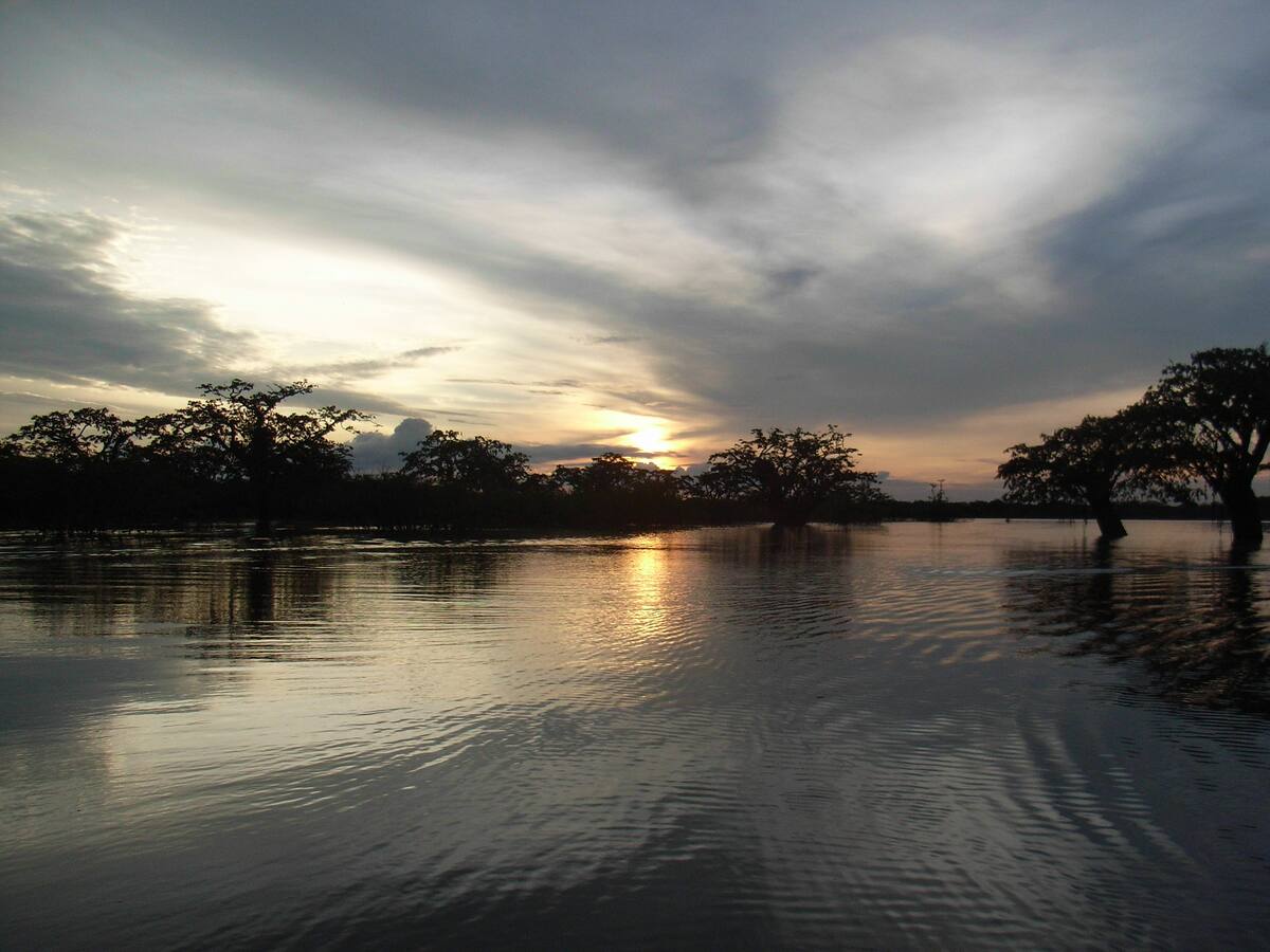 ¿Cuál es el espejo de agua más grande de Colombia, según IA? Su extensión es de 428.000 ha