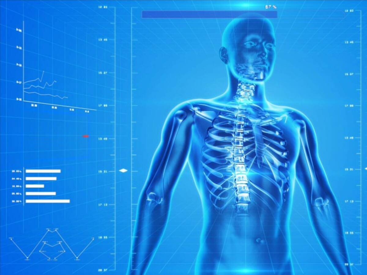 Intersticio, el “nuevo órgano del cuerpo humano”