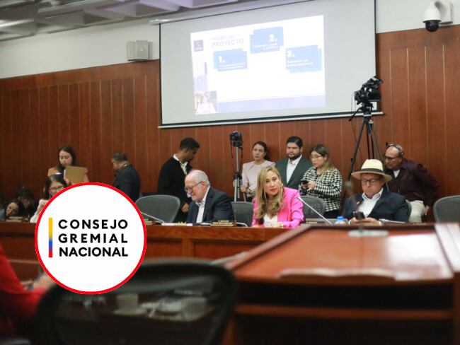 El Consejo Gremial hace un llamado al Congreso a revisar a fondo el Proyecto de Acto Legislativo sobre el Sistema General de Participaciones (SGP) ( 2024)