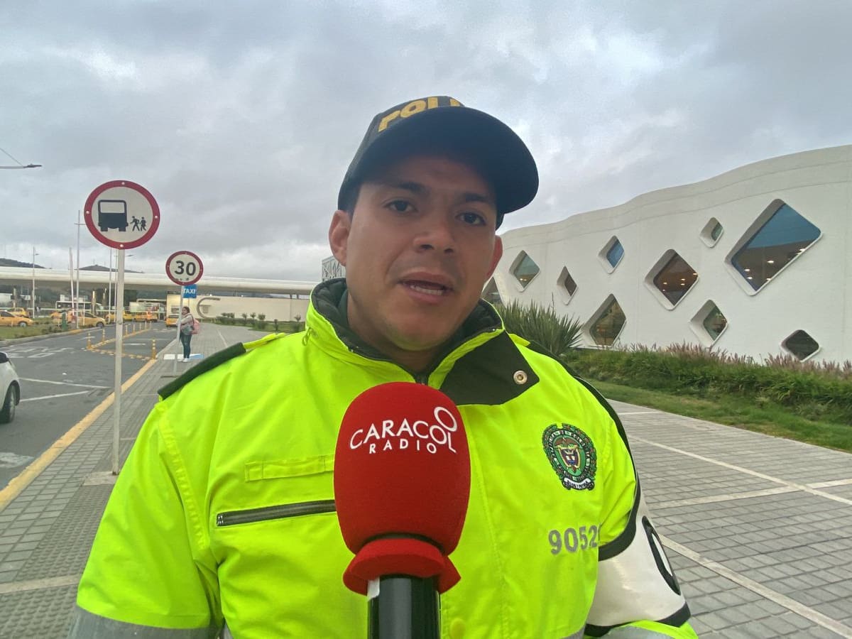 Segundo equino herido en Tunja por accidente de tránsito