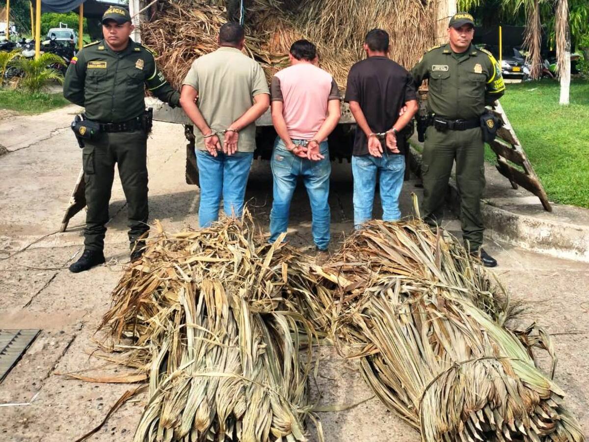 Capturados tres personas por aprovechamiento ilícito de recursos naturales en Magangué, Bolívar