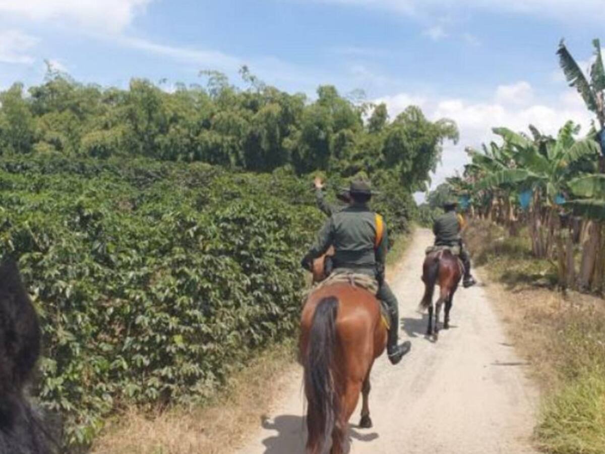 300 policías reforzarán la seguridad para cosecha cafetera en el Quindío
