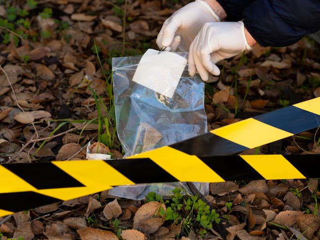 Foto: Imagen de referencia - Getty Images (archivo)