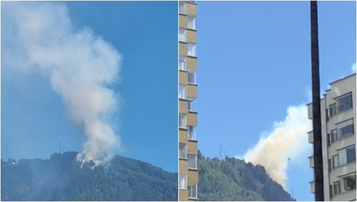 Incendio forestal en el Cerro de El Cable.