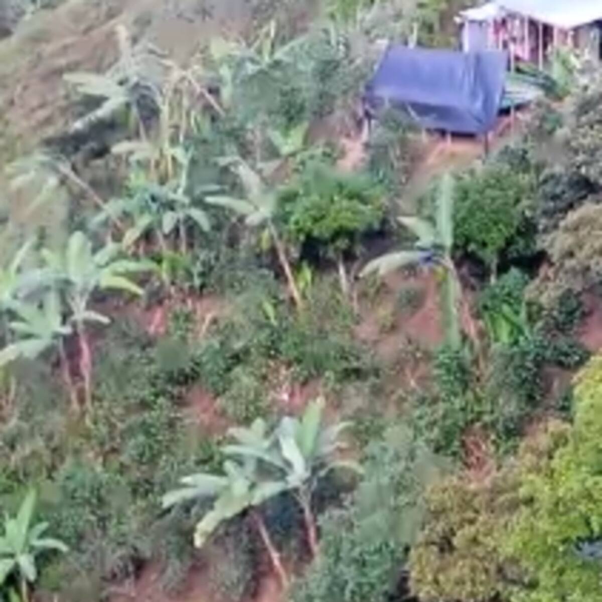 Declaran la calamidad pública en zonas de la Sierra: 400 damnificados por las lluvias