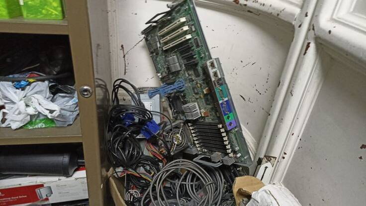 Carolina Forero González, Jefe Técnica de Red Verde