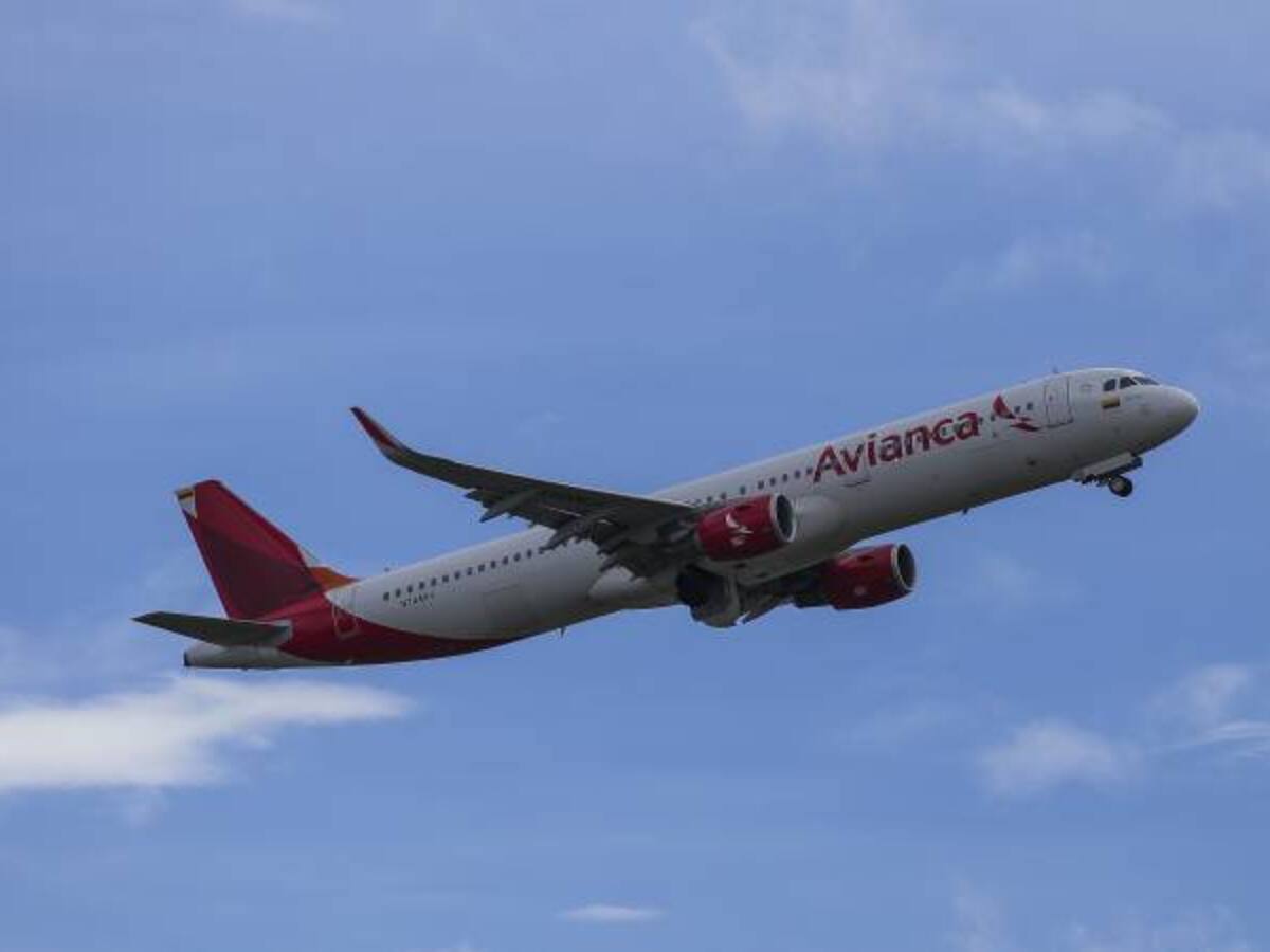 Avianca formalizará laboralmente a más de 800 trabajadores