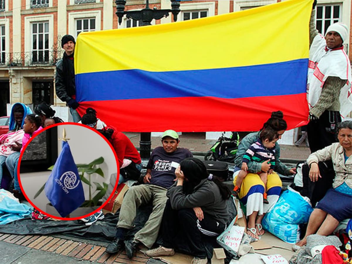 OIM espera que Colombia fortalezca sus capacidades a favor de población en riesgo