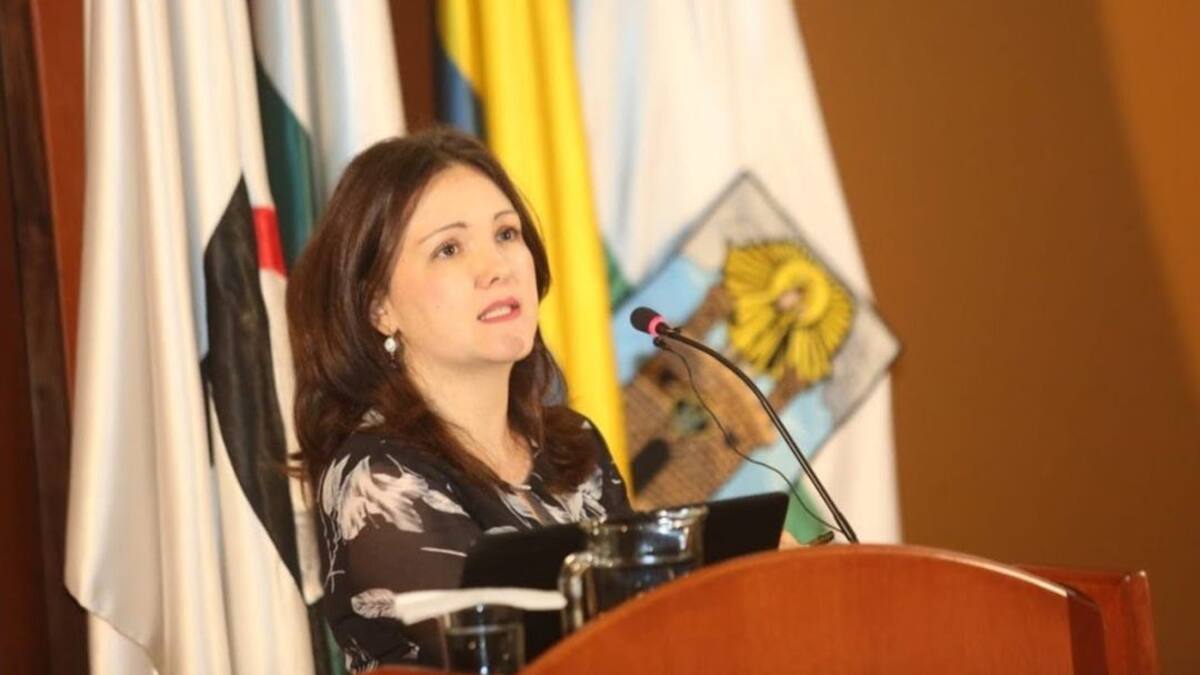 "Lamentablemente, el proyecto está demasiado desarticulado en todas sus partes”