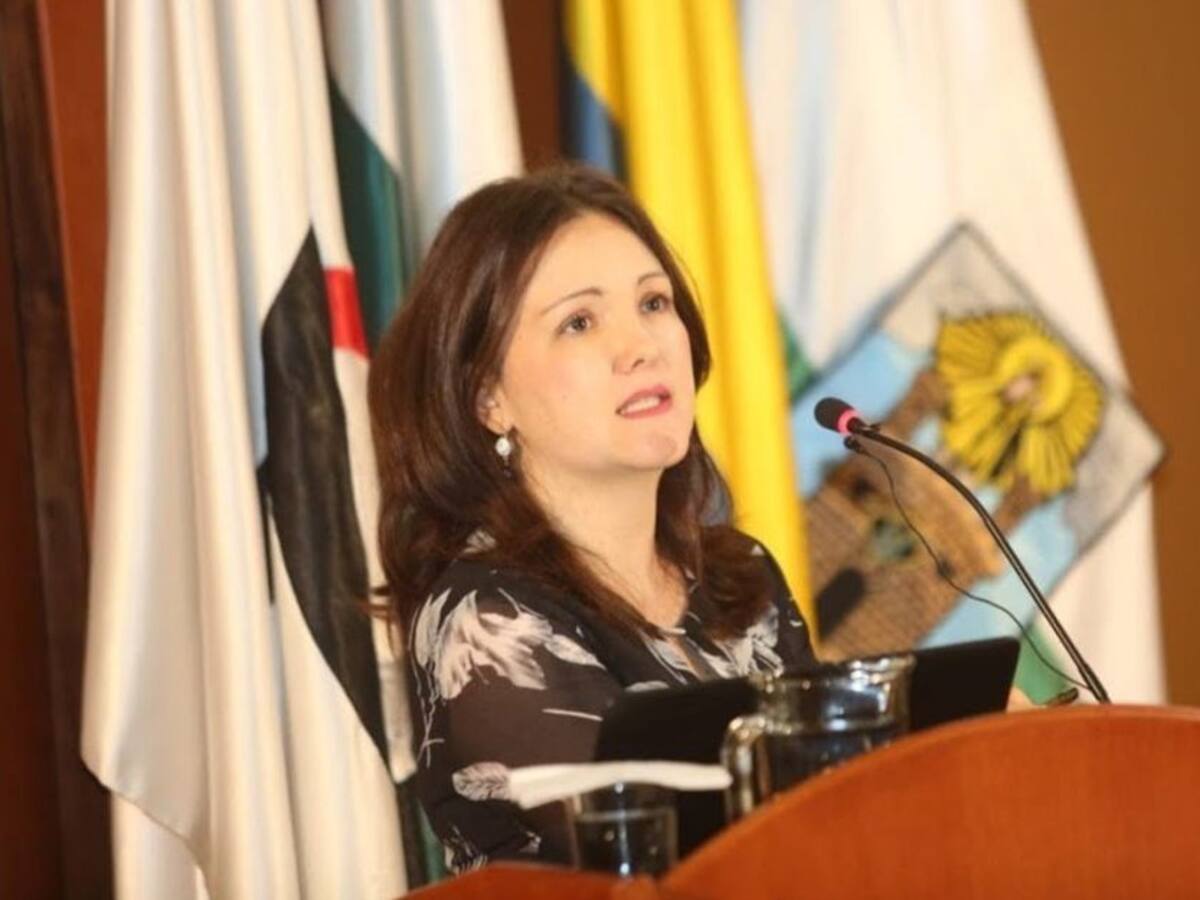 "Lamentablemente, el proyecto está desarticulado en todas sus partes"