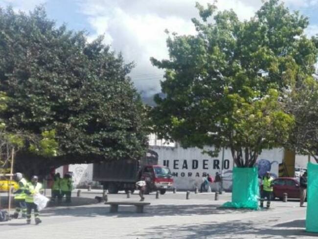 En Pasto cubren 1.500 árboles para protegerlos del talco de Carnaval