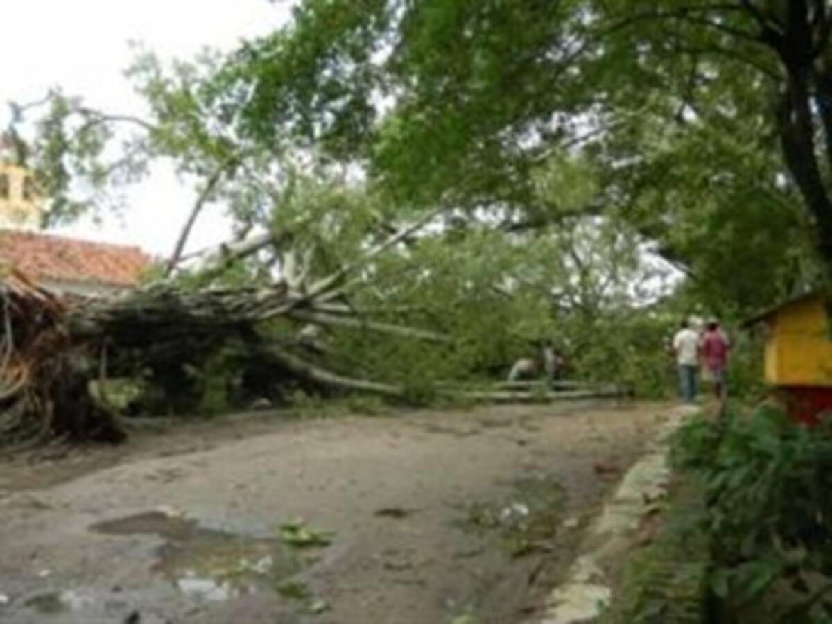 Tres departamentos del Caribe son los más afectados por vendavales