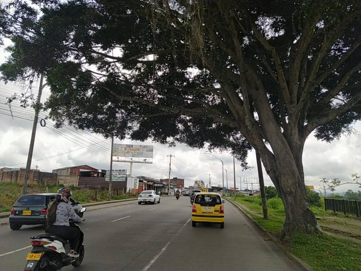 Miércoles 19 de Octubre, las principales noticias de Armenia y Quindío