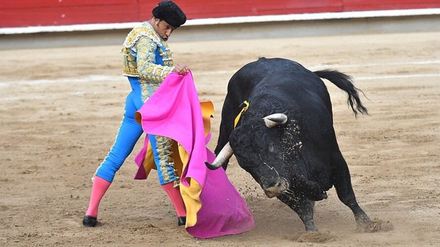 Estocada a las corridas de toros en Bogotá. Foto: Colprensa