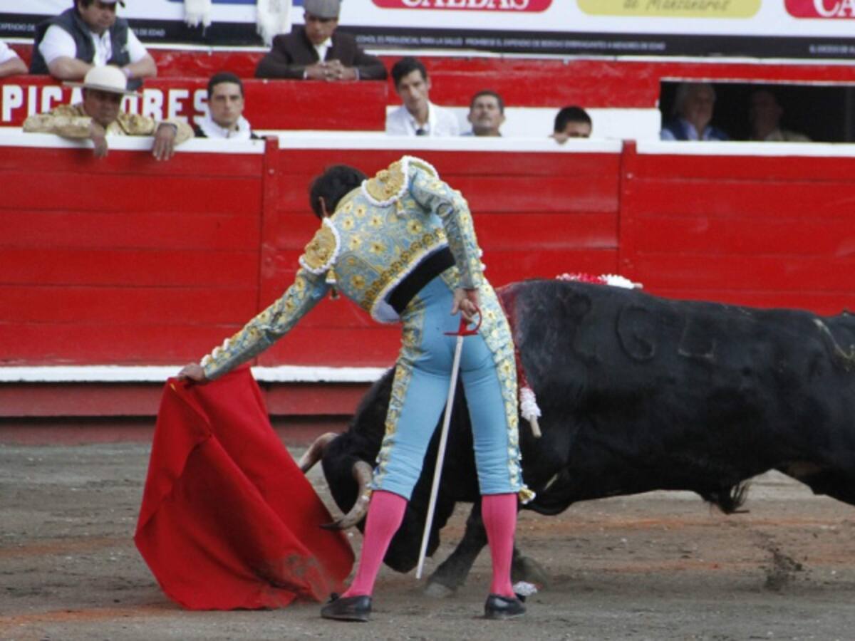 El registrador le miente a Bogotá con la consulta taurina: Petro