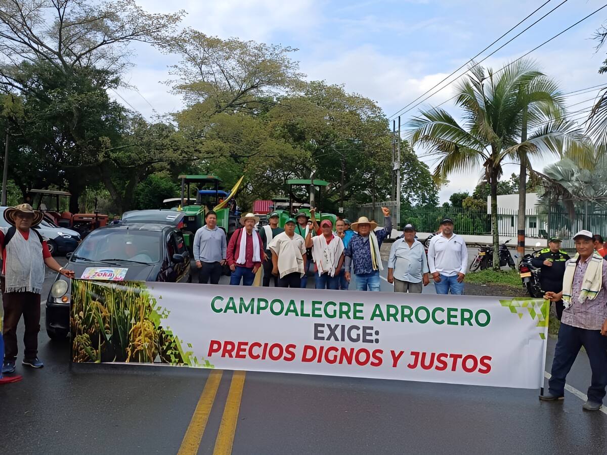 ¿Incumplimientos del Gobierno con arroceros? Organizaciones advierten consecuencias de un nuevo paro
