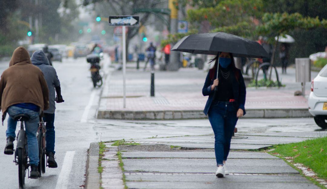 Imagen de referencia 