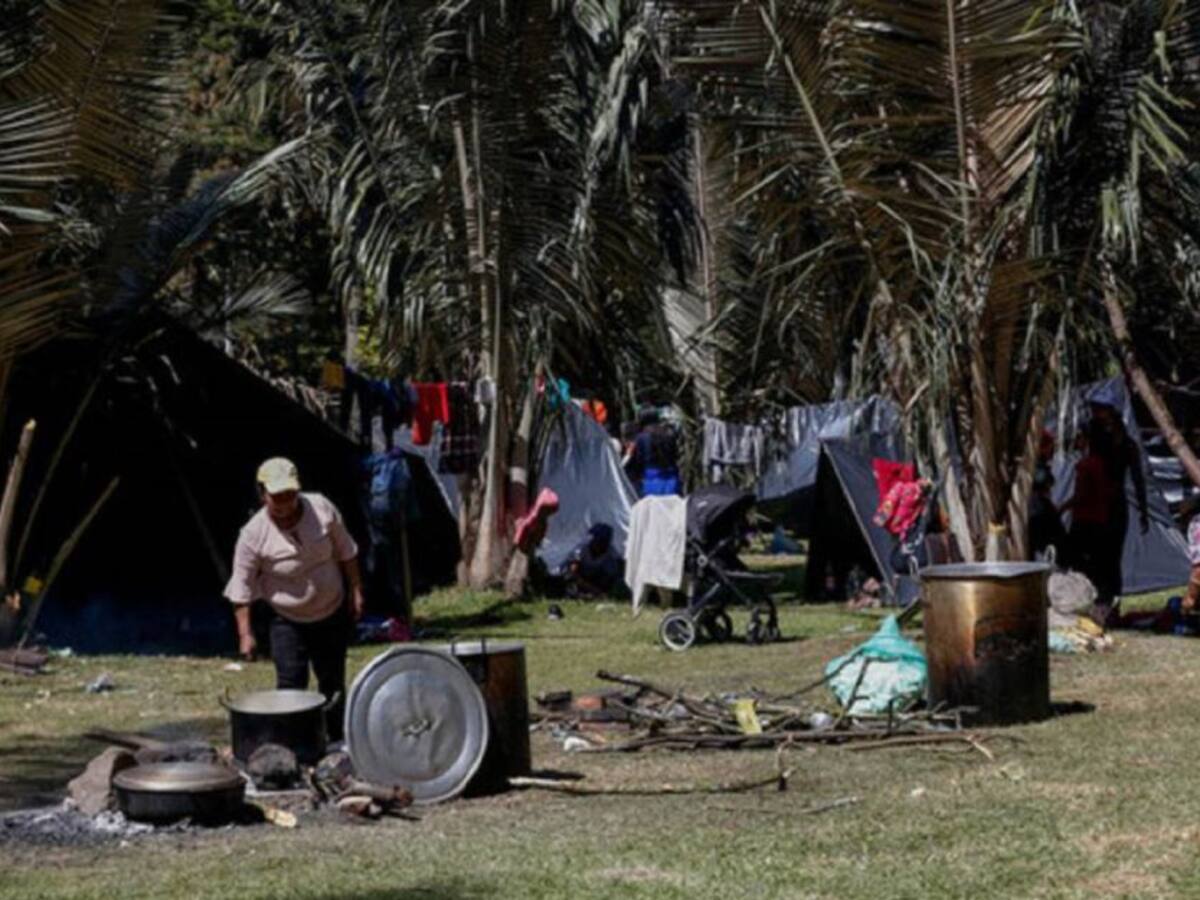 Distrito hará el último intento por caracterizar a indígenas Embera