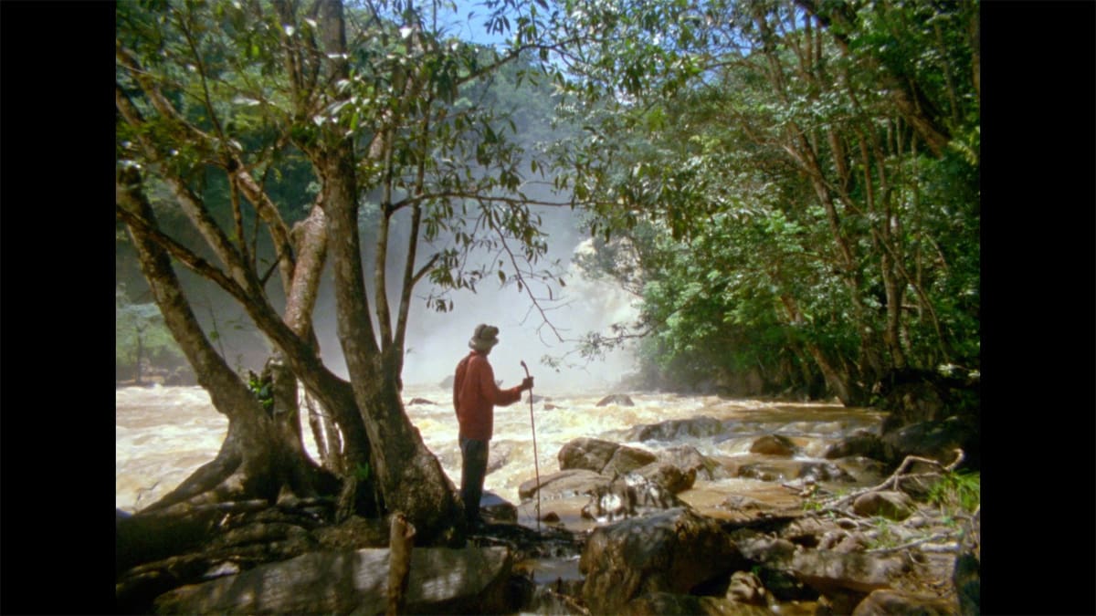 Morichales, el documental sobre la minería