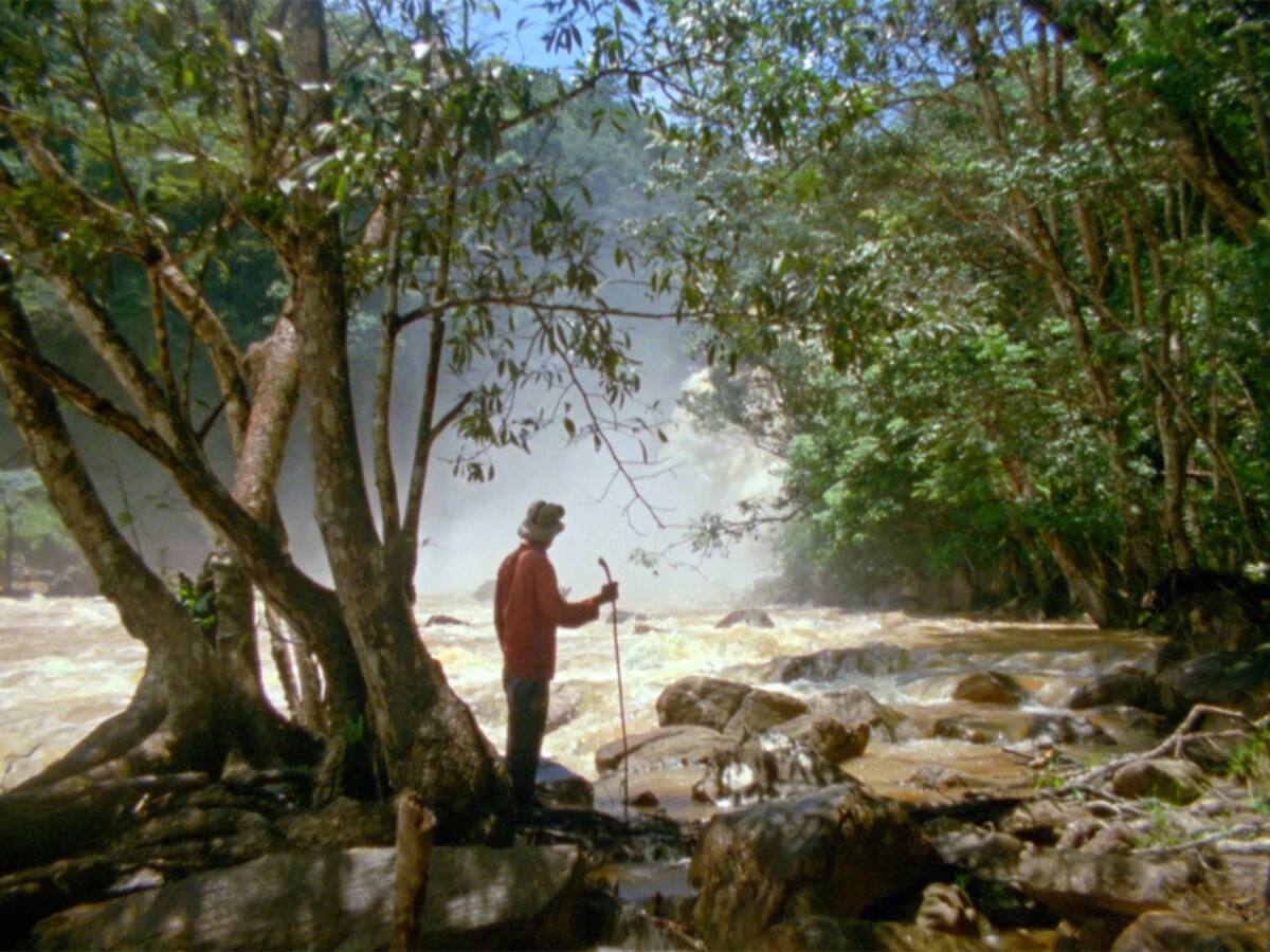 Morichales, un documental sobre la compleja relación entre mineros y su entorno