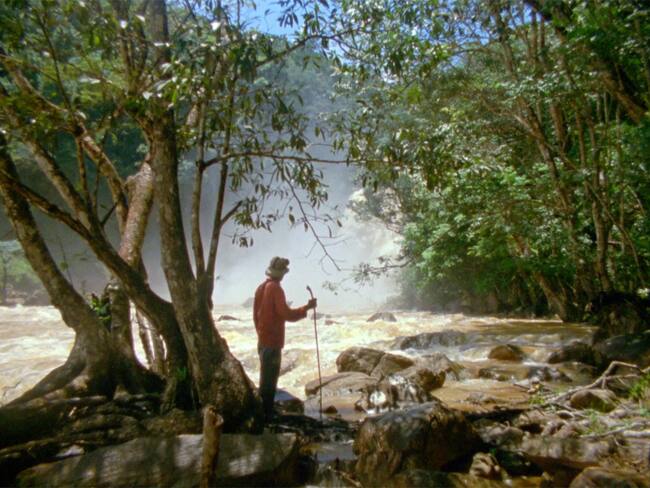 Morichales, el documental sobre la minería