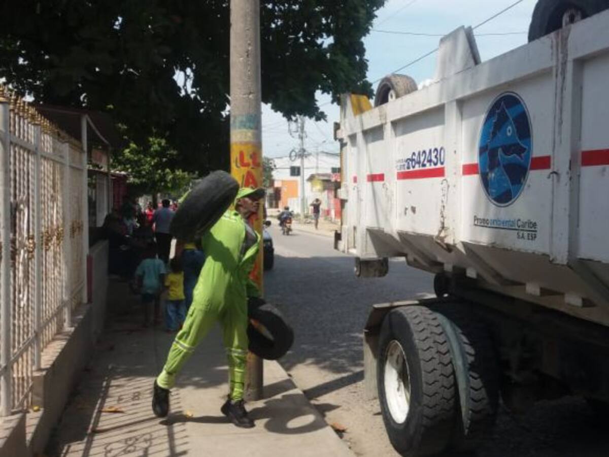 Más de 4.100 llantas ha recolectado Pacaribe en Cartagena