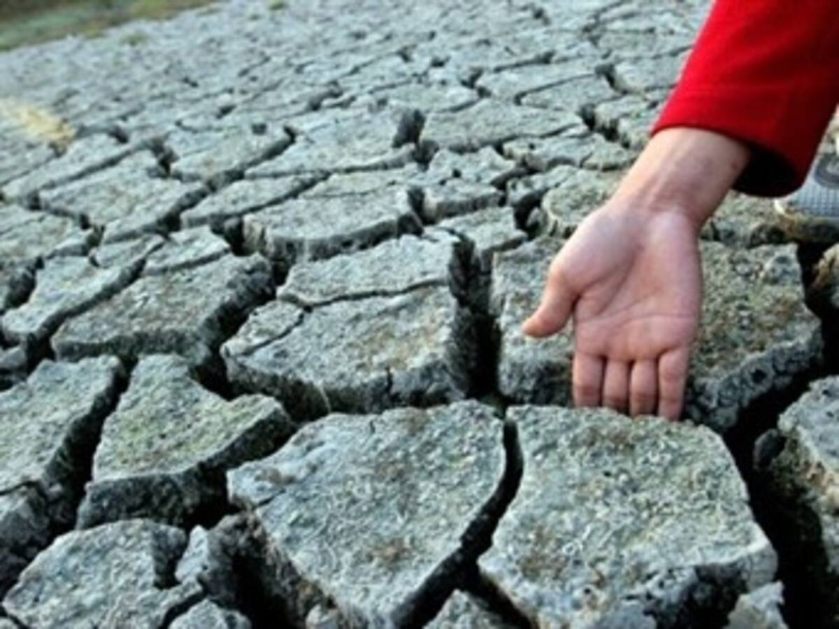 Una veintena de premios Nobel discute sobre cambio climático en Estocolmo