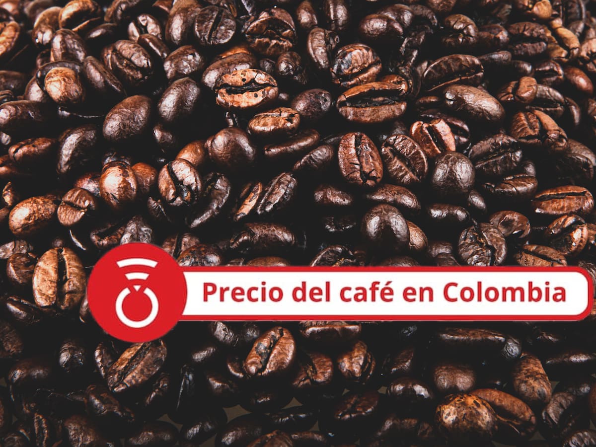 Precio del café HOY 27 de agosto: Continúa en caída el precio del grano tras último reporte