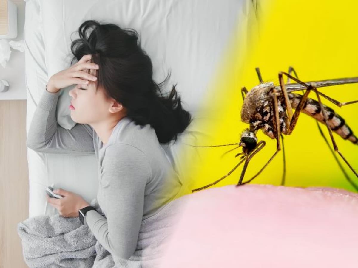 Aumenta el número de víctimas mortales por Fiebre Amarilla en el Tolima